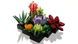 lego-icons-10309-sukulenty-plec-unisex