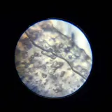 mikroskop-im-a-genius-lisciani-kolor-wielokolorowy