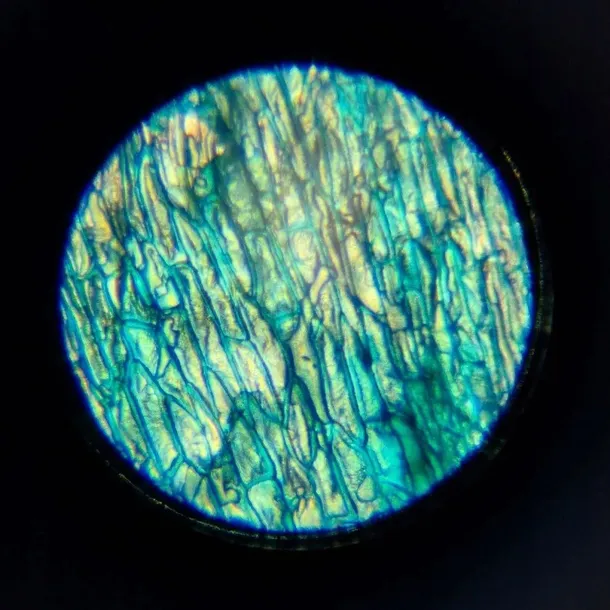 mikroskop-im-a-genius-lisciani-informacje-dot-bezpieczenstwa-i-zgodnosci-produktu-nie-nadaje-sie-dla-dzieci-w-wieku-ponizej-36-miesiecy