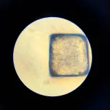 mikroskop-im-a-genius-lisciani-minimalny-wiek-dziecka-7