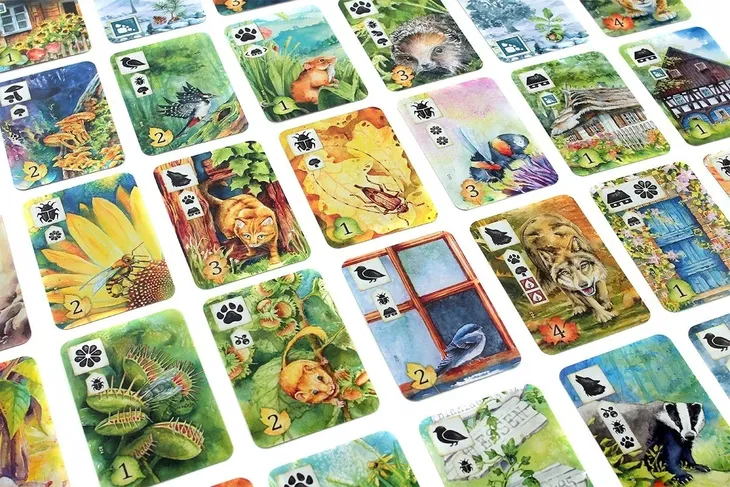 gra-laka-meadow-pl-rebel-nazwa-laka