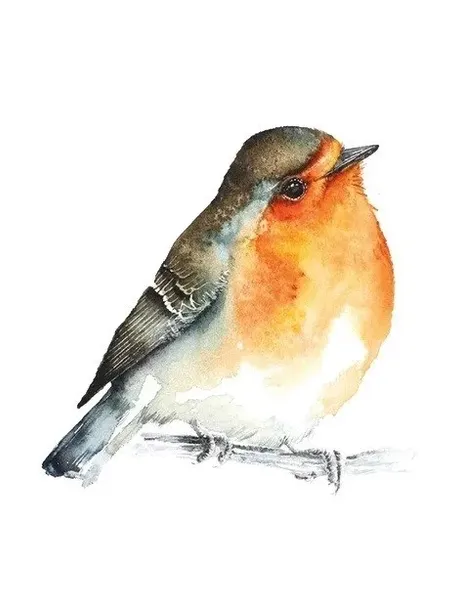 gra-laka-meadow-pl-rebel-glebokosc-produktu-8-cm