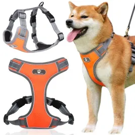 szelki-dla-psa-astro-pomaranczowe-rozmiar-l