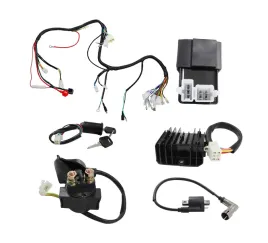 wiazka-przewodow-kpl-instalacja-elektryczna-atv-bashan-150-200-250-loncin