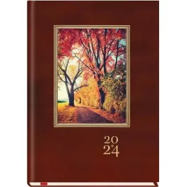 terminarz-a5-popularny-t-209f-03-michalczyk-i-prokop-michalczyk-i-prokop