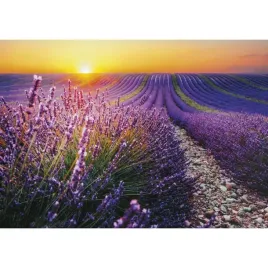 kalendarz-trojdzielny-h-palmy-t-106t-07-michalczyk-i-prokop-michalczyk-i-p