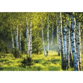 kalendarz-trojdzielny-h-gory-t-106t-01-michalczyk-i-prokop-michalczyk-i-pr