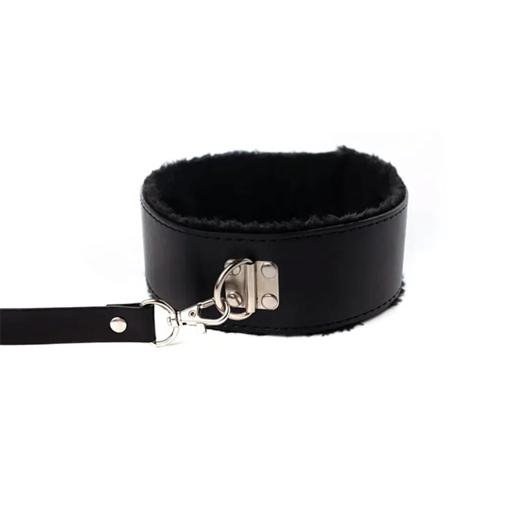collar-with-detachable-leash
