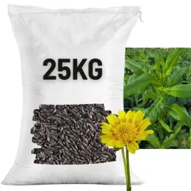 olejarka-abisynska-25kg-nasiona-na-poplon-kiszonke-ogranicza-chwasty
