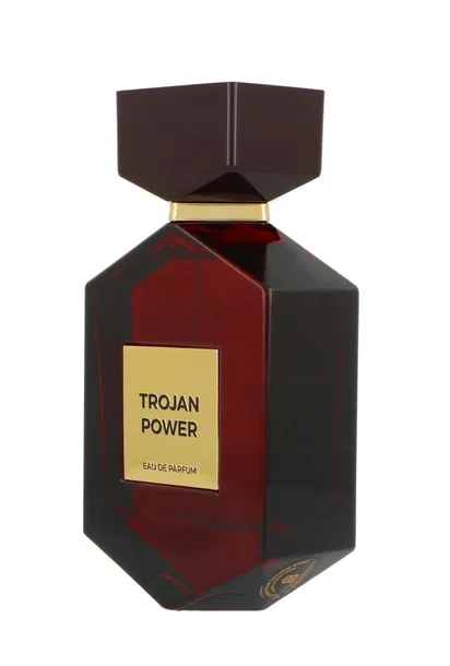 camara-trojan-power-edp-100ml-marka-bez-marki