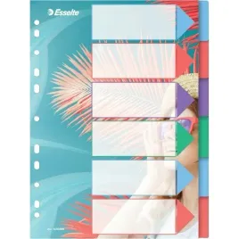 przekladki-colourbreeze-pp-a4-6-przekladek-628499-esselte-esselte