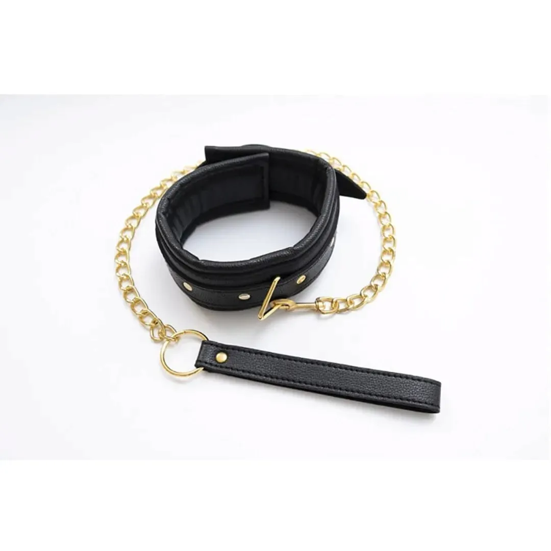 collar-with-detachable-leash