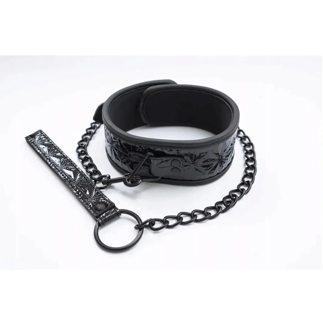 collar-with-detachable-leash