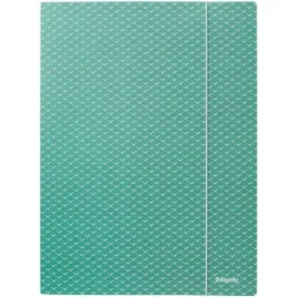 teczka-kartonowa-z-gumka-colourbreeze-a4-zielona-628493-esselte-esselte