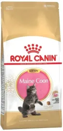 royal-canin-fbn-maine-coon-kitten-sucha-karma-dla-kociat-2kg-royal-cani