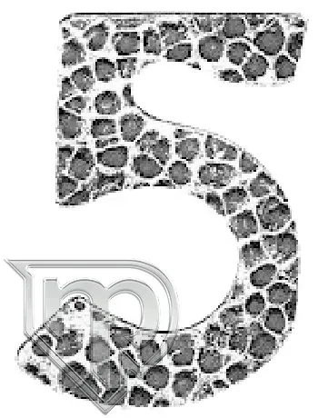 cyfra-piec-64-105-01-h170