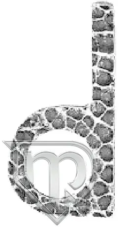literka-d-64-113-01-h170