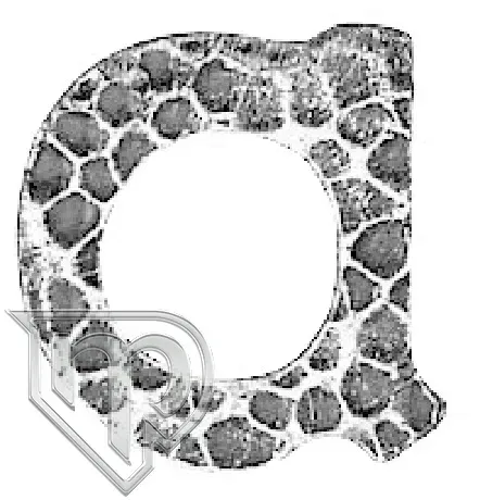 literka-a-64-110-01-h120