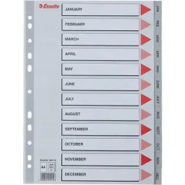 przekladki-plastikowe-szare-pp-a4-12-miesiecy-numeryczne-100114-esselte-ess