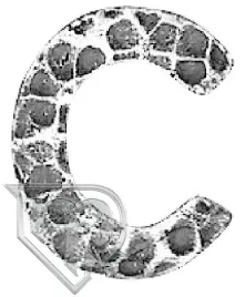 literka-c-64-112-01-h140