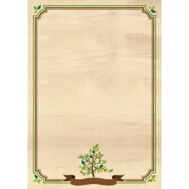 dyplom-a4-natura-170g-25ark-219117-galeria-papieru-galeria-papieru