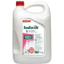 plyn-do-naczyn-ludwik-5kg-malinowy-ludwik