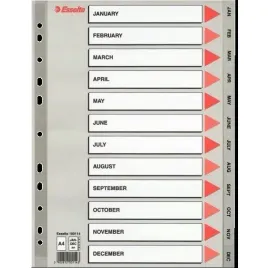 przekladki-pp-esselte-a4-12-miesiecy-esselte