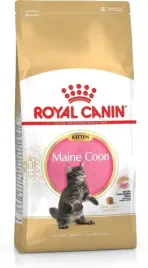royal-canin-fbn-maine-coon-kitten-sucha-karma-dla-kociat-4kg-royal-cani