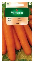 marchew-lenka-nasiona-krucha-soczysta-slodka-plenna-sred-pozna-vilmorin-5g