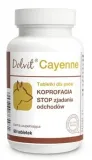 dolfos-dolvit-cayenne-90-tabletek-dolfos