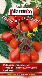 pomidor-drobnoowocowy-wysok-koktajlowy-red-pear-nasiona-02-g-slodki