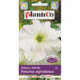 petunia-ogrodowa-biala-koronkowy-welon-005-g-plantico-kwiaty-falowane