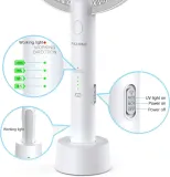 lapka-przeciwko-komarom-muchom-palone-rodzaj-lapka