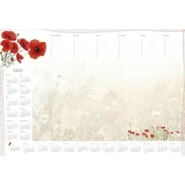 terminarz-planer-b3-z-listwa-maki-t-2-b3-4-michalczyk-i-prokop-michalczyk-i