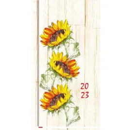 terminarz-kieszonkowy-t-231f-05-michalczyk-i-prokop-michalczyk-i-prokop