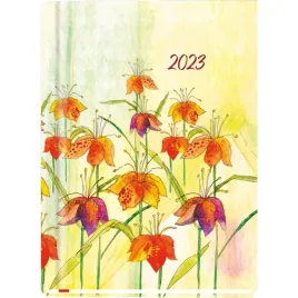 terminarz-b6-marta-t-215f-01-michalczyk-i-prokop-michalczyk-i-prokop