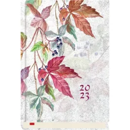 terminarz-powszechny-b6-rower-t-200f-02-michalczyk-i-prokop-michalczyk-i-pr