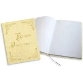 ksiega-pamiatkowa-zlocona-bezowa-255x320mm-100kartek-319-033-warta-warta