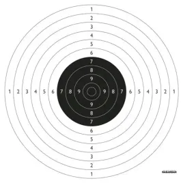 tarcze-strzeleckie-ts-2-psp-pcz-pbz-pdw-100-szt
