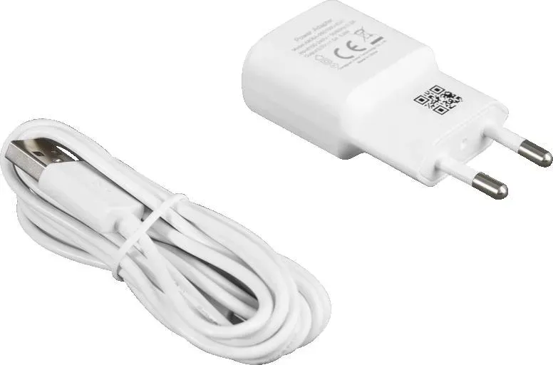 kamera-bcs-line-bcs-l-pthome01-bcs