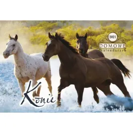 terminarz-domowy-konie-tw-10-6-michalczyk-i-prokop-michalczyk-i-prokop