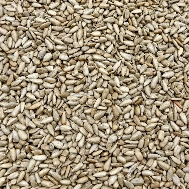 your-taste-slonecznik-solony-500g-waga-500-g