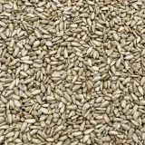 your-taste-slonecznik-solony-500g-waga-500-g