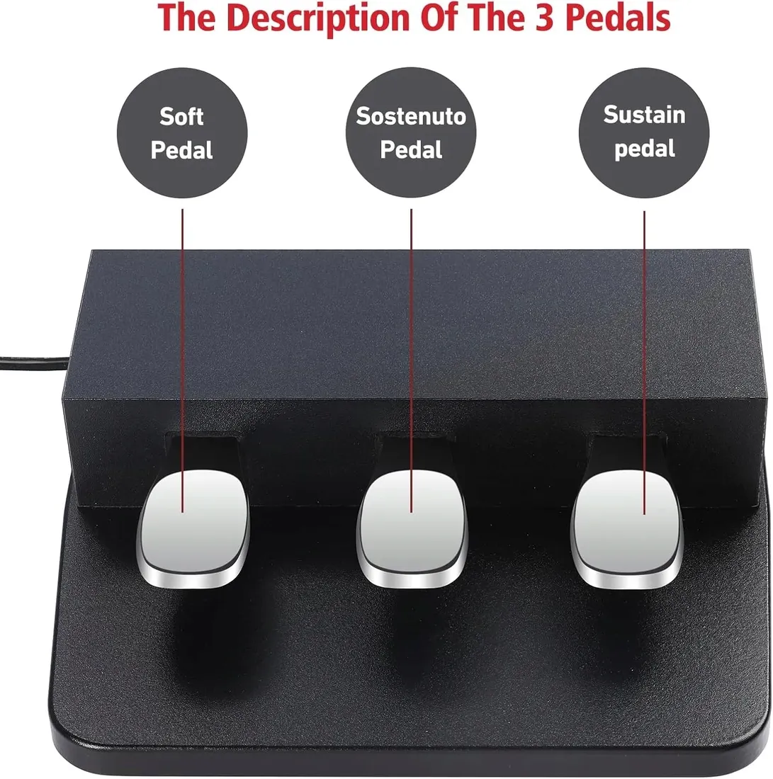 pedal-atnedcvh-p3-s1-b