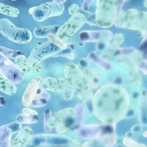 sanprobi-barrier-probiotyk-40-kapsulek-data-waznosci-brak-informacji