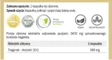 yango-astragalus-traganek-100-kaps-stan-nowy