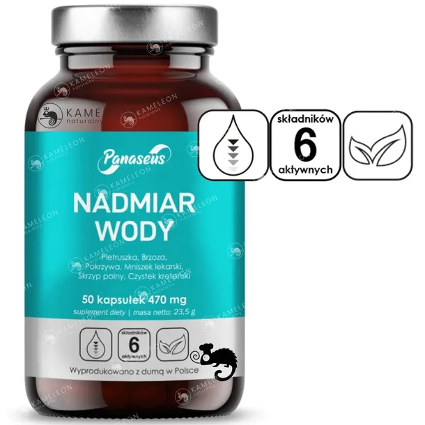 panaseus-formula-na-stawy-50-kaps-podstawowy-skladnik-imbir