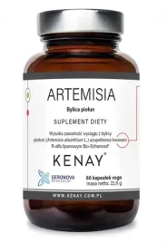 kenay-artemisia-bylica-piolun-60-kaps