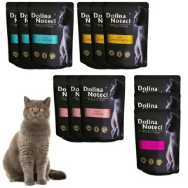dolina-noteci-mokra-karma-dla-kota-mix-smakow-12x85g