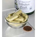 swanson-full-spectrum-tribulus-fruit-500-mg-90-kaps-postac-kapsulki